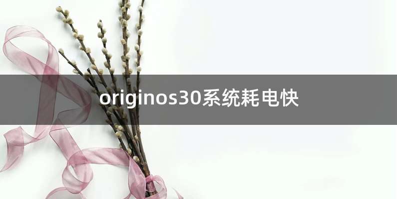 originos30系统耗电快