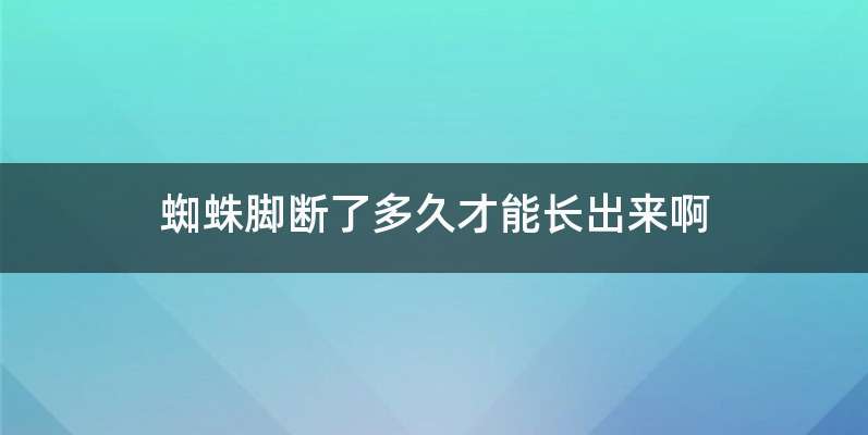 蜘蛛脚断了多久才能长出来啊