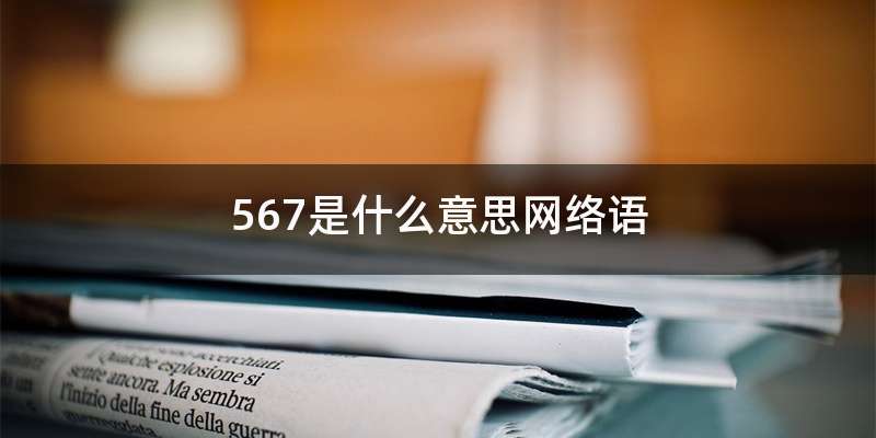 567是什么意思网络语