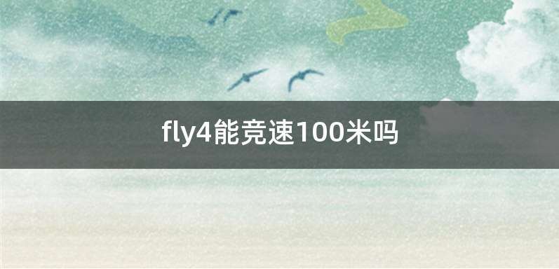 fly4能竞速100米吗