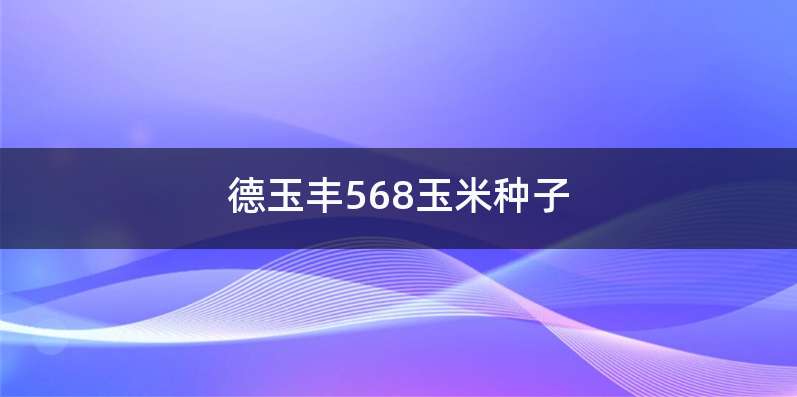 德玉丰568玉米种子