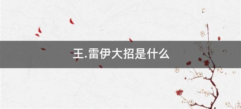 王.雷伊大招是什么