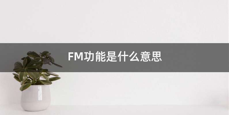 FM功能是什么意思