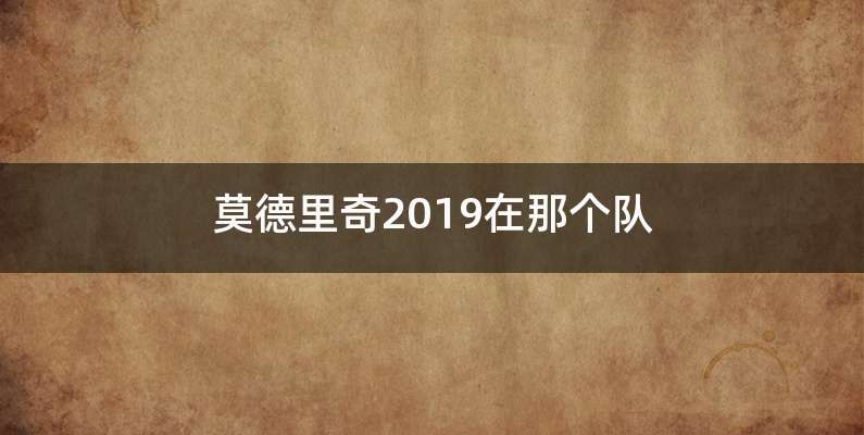 莫德里奇2019在那个队