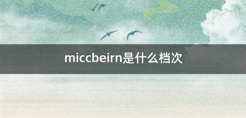 miccbeirn是什么档次