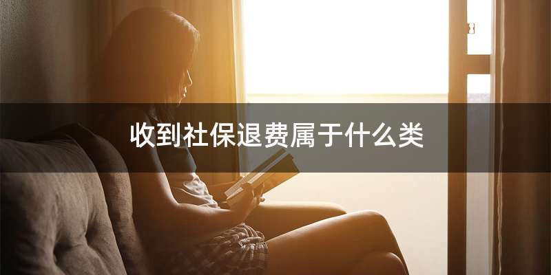 收到社保退费属于什么类