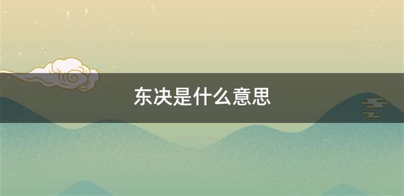 东决是什么意思