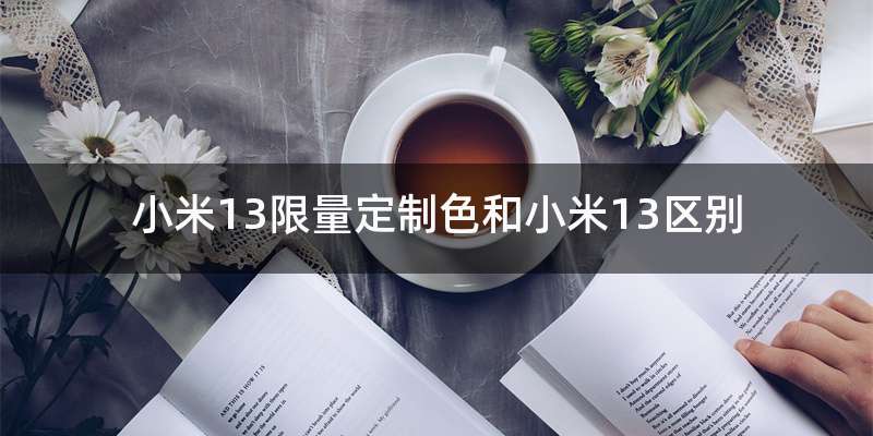 小米13限量定制色和小米13区别