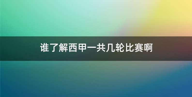 谁了解西甲一共几轮比赛啊