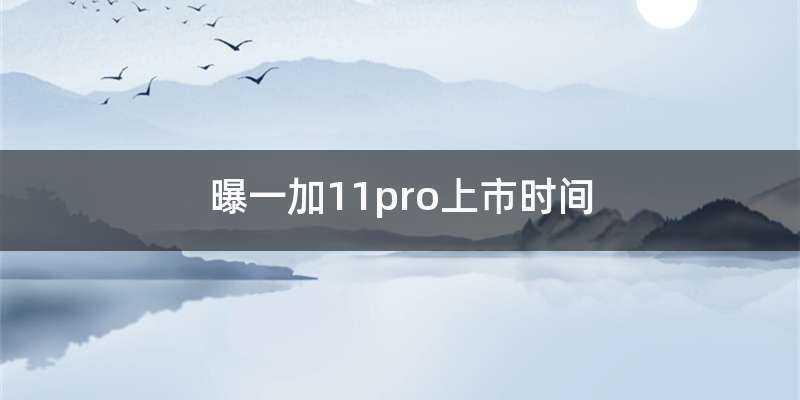 曝一加11pro上市时间