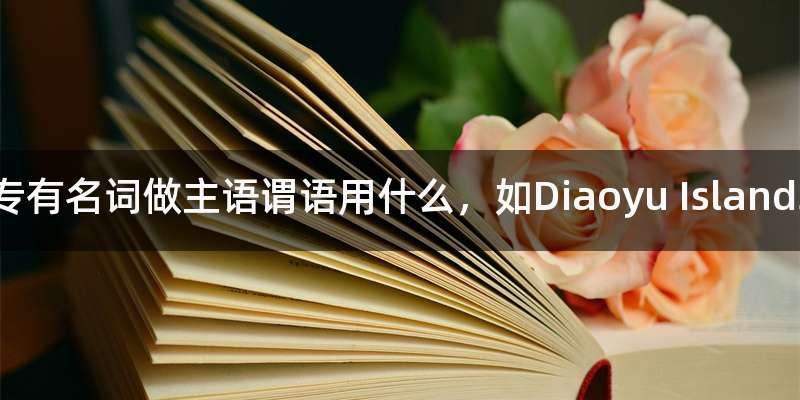 专有名词做主语谓语用什么，如Diaoyu Islands