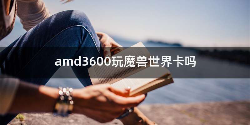 amd3600玩魔兽世界卡吗