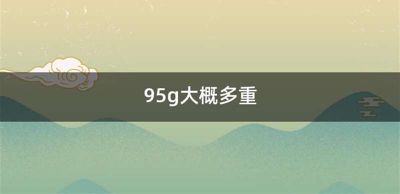 95g大概多重