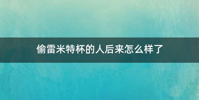 偷雷米特杯的人后来怎么样了