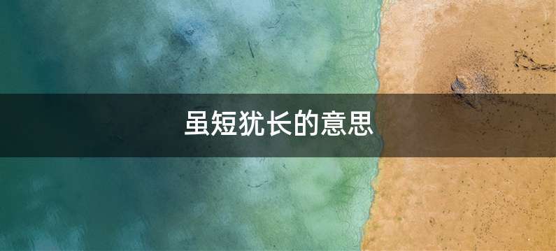 虽短犹长的意思