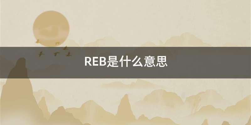 REB是什么意思