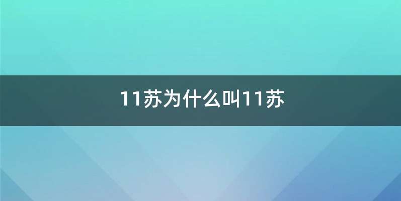 11苏为什么叫11苏