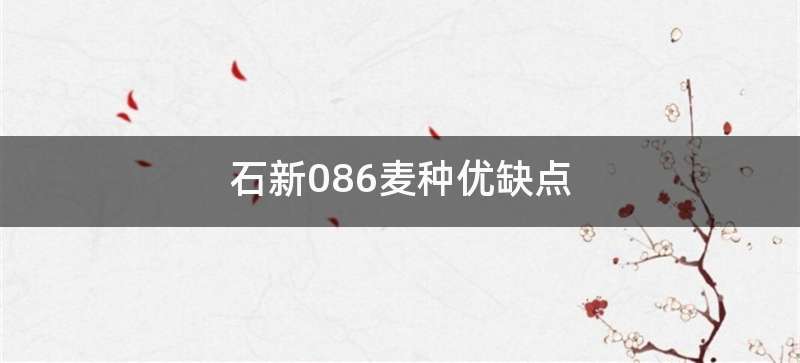 石新086麦种优缺点