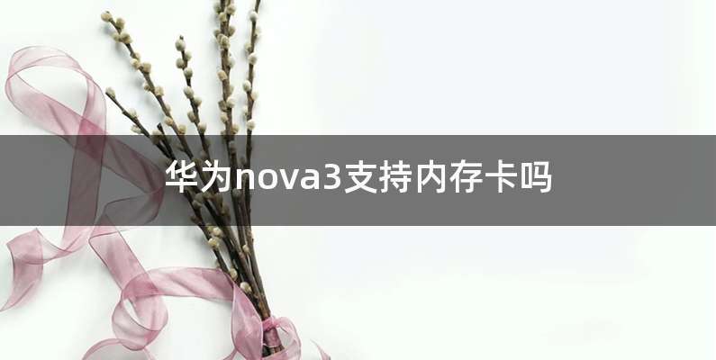 华为nova3支持内存卡吗