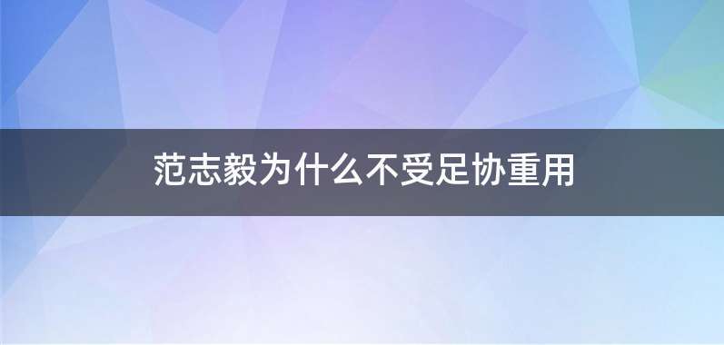 范志毅为什么不受足协重用