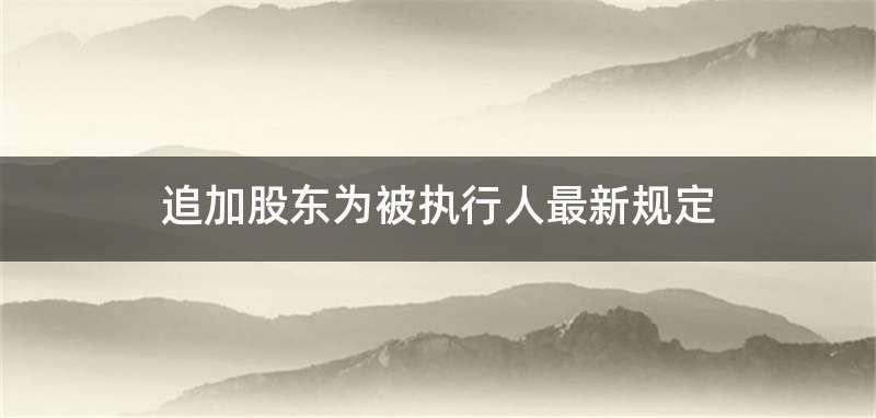 追加股东为被执行人最新规定