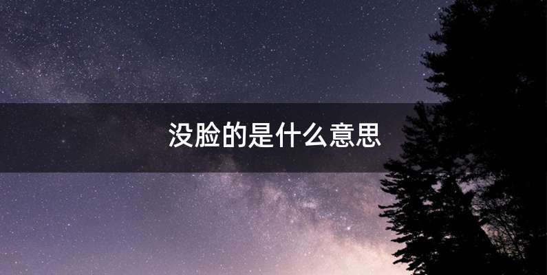 没脸的是什么意思