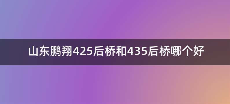 山东鹏翔425后桥和435后桥哪个好