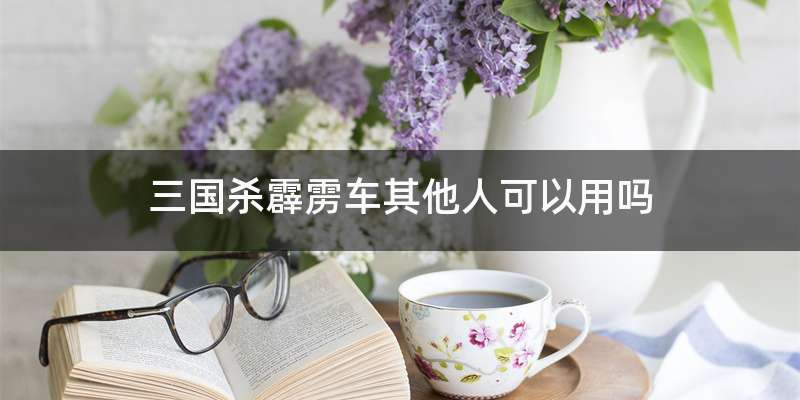 三国杀霹雳车其他人可以用吗