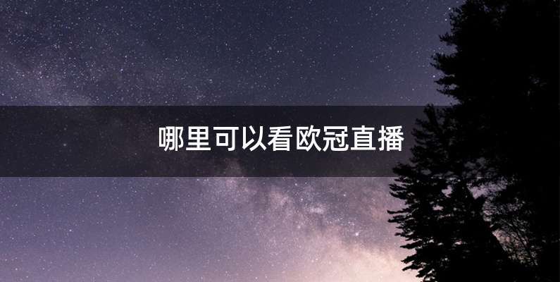 哪里可以看欧冠直播