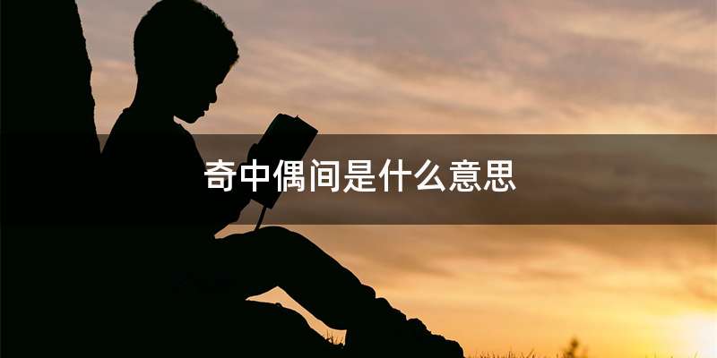 奇中偶间是什么意思