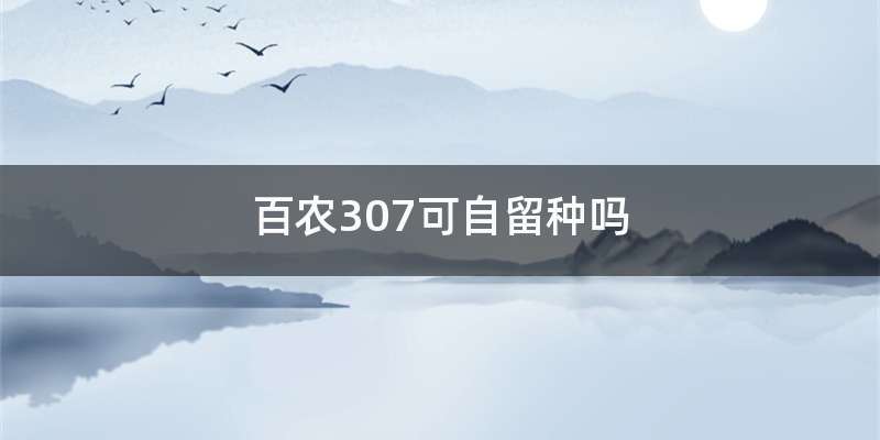 百农307可自留种吗