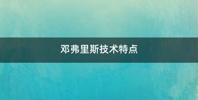 邓弗里斯技术特点