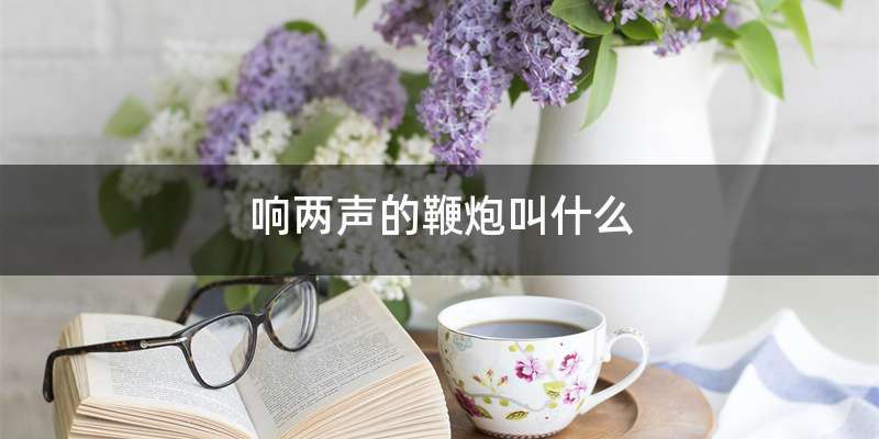 响两声的鞭炮叫什么