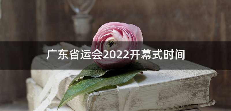 广东省运会2022开幕式时间