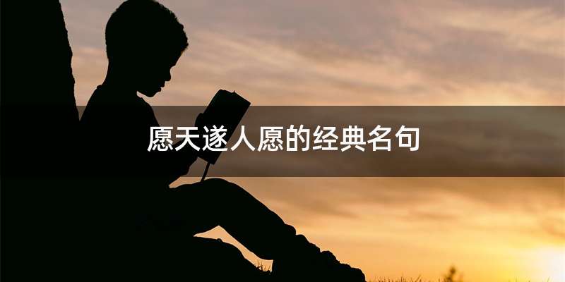 愿天遂人愿的经典名句