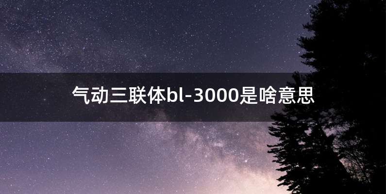 气动三联体bl-3000是啥意思