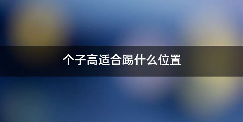 个子高适合踢什么位置