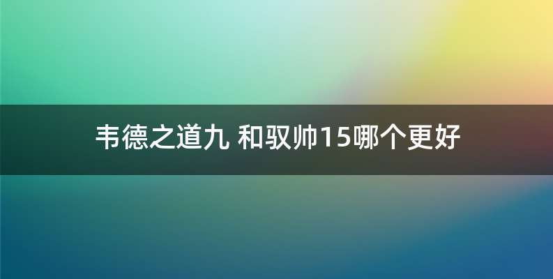 韦德之道九 和驭帅15哪个更好