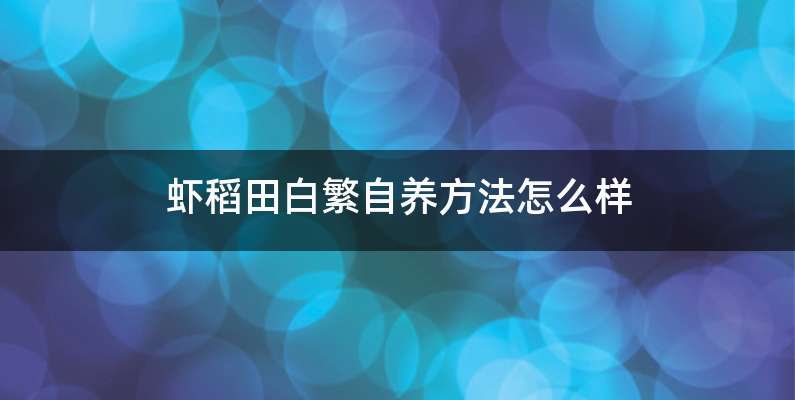 虾稻田白繁自养方法怎么样