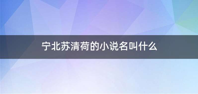 宁北苏清荷的小说名叫什么