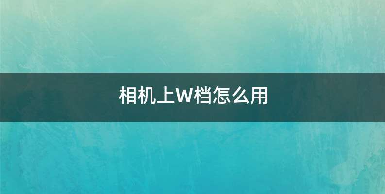 相机上W档怎么用