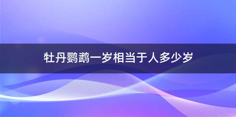 牡丹鹦鹉一岁相当于人多少岁