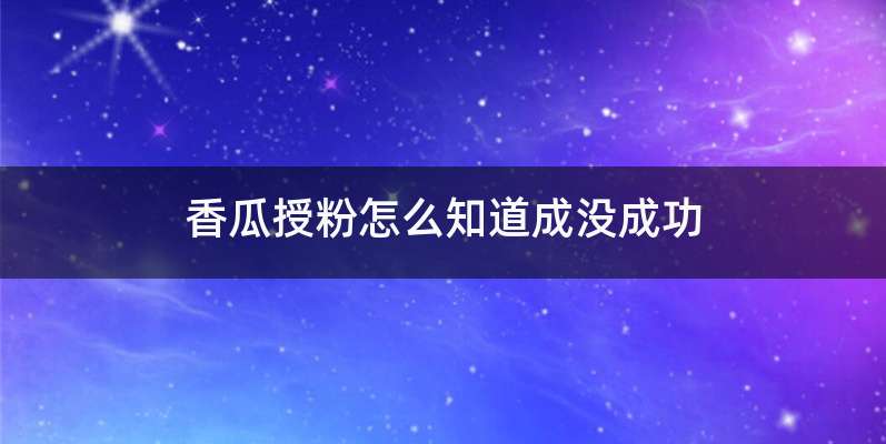 香瓜授粉怎么知道成没成功