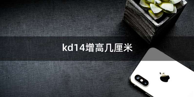 kd14增高几厘米