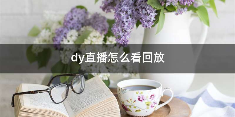 dy直播怎么看回放