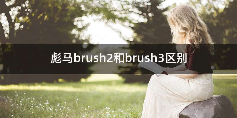 彪马brush2和brush3区别