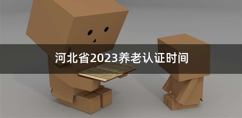 河北省2023养老认证时间