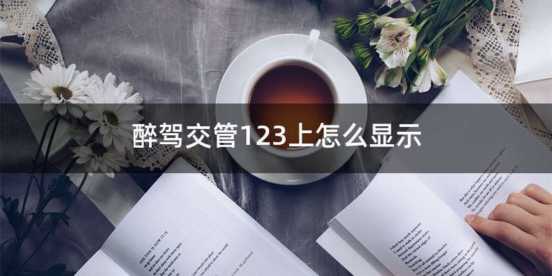 醉驾交管123上怎么显示