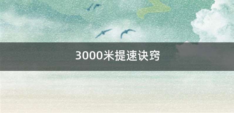 3000米提速诀窍