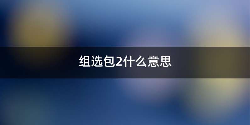 组选包2什么意思